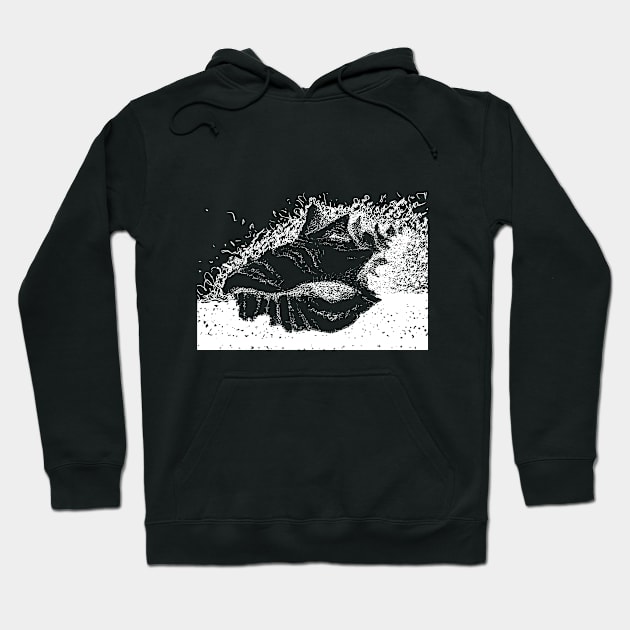 A unique gift for any holiday. Shell. Graphic art. Hoodie by ElizabethArt